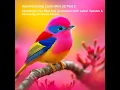 Administering Linux Mint 22 Part 2 Updating LM 22 OS with latest updates Accessing Windows Share