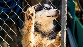 He Was Kept in a Space So Small He Never Learned to Walk