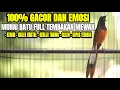 Download Lagu SUARA MURAI BATU NEMBAK ISIAN SEKETIKA BIKIN NYAUT JADI GACOR DAN EMOSI