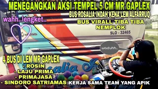 rekor pecah aksi gila mr gaplek 4 bus ditempel 5 cm spion hampir saja 