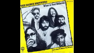 Download The Doobie Brothers ~ What A Fool Believes 1978 Disco Purrfection Version MP3