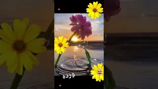 صباحين وحته 