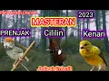 Download Lagu MASTERAN PRENJAK CILILIN DAN KENARI ISIAN MEWAH SEMUA