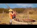 Download Lagu Bastidores  !! A Dona Dúceu botou o  Seu  mané pra levar ferroada do enchu !!