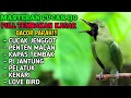 Download Lagu CUCAK IJO, MASTERAN CUCAK IJO FULL TEMBAKAN KASAR, MASTERAN CUCAK IJO, part 1.