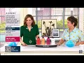 Vanessa Bayer educates Jane Treacy in Easy Pay math on QVC