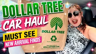 DOLLAR TREE NEW ARRIVALS CAR HAUL MUST SEE JACKPOT FINDS