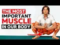 Lagu Je hele gezondheid hangt af van DEZE spier! Urine-incontinentie, een bolle buik en rugpijn!