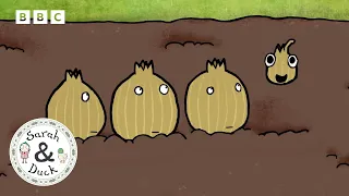 Shallots Ahoy Sarah And Duck Official 