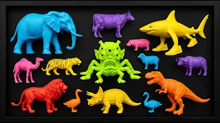 UNBELIEVABLE‼️Membersaihkan Hewan Berlumpur Dinosaurus,T-rex,Brontosaurs,Italian Brainrot,Singa,Kuda