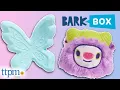 May 2023 Series 5 BarkBox