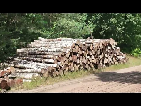 Fietsen langs de Vecht deel 4 Oud-Bergentheim - Junne