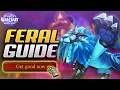 Ultimate Feral Druid M Guide For Midnight