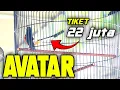 Download Lagu Gilaaaa.. ‼️ Tiket 22 juta AVATAR FULL EMOSii..