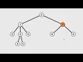 Exercise Where To Put State Complete React Developer in 2020 w Redux Hooks Grap L
