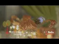 Download Lagu Gospon Tamburaši - Sve najbolje (Official Video 2021) HD