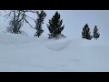 Big Al s Snowmobile