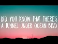 Download Lagu Lana Del Rey - Did you know that there's a tunnel under Ocean Blvd (Lyrics)