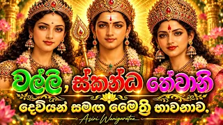 ස්කන්ධ දෙවියන්, තේවානි මෑණියන් සහ වල්ලි මෑණියන් සමඟ මෛත්රී භාවනාව