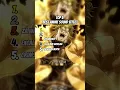 Download Lagu Top 5 Best Anime Sound Effect 🥶