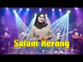 Download Lagu Adelia - Salam Kerong I Duh Angin [Official Live Music] | New RGS