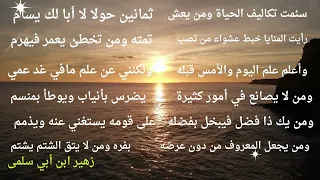 تعلم اللغة العربية من الشعر زهير بن أبي سلمى حكيم عصره 