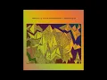 FEINSTOFF PREMIERE: Parallelle & Nicolas Masseyeff - Renegade (Adam Ten & Mita Gami Remix)