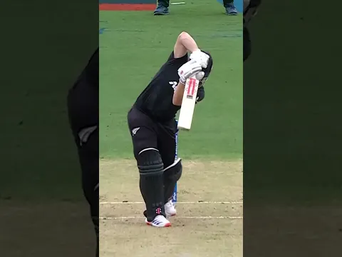 Umpire Challenge... Out or Not Out?