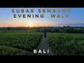 Download Lagu Relaxing Nature Walk in Bali | Subak Sembung Rice Fields Evening 4K