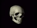 Skull head spinning meme template