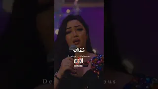 طول عمري ع الابيض   الشيله وقعت ميني رحمه محسن ترند جديد  علي كلاي دندنها