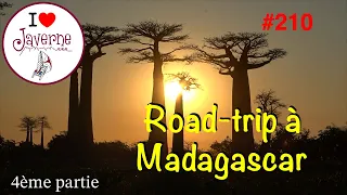 #210 Road-trip à Madagascar 4ème partie