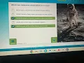 Reading plus answer Level D