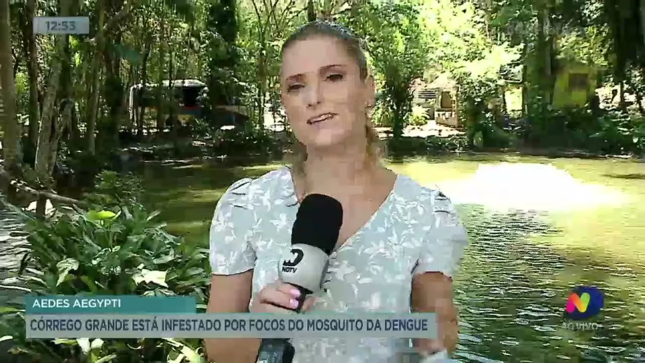 Córrego Grande está infestado por focos do mosquito da dengue