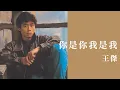 王傑 Dave Wang -《你是你我是我》official Lyric Video