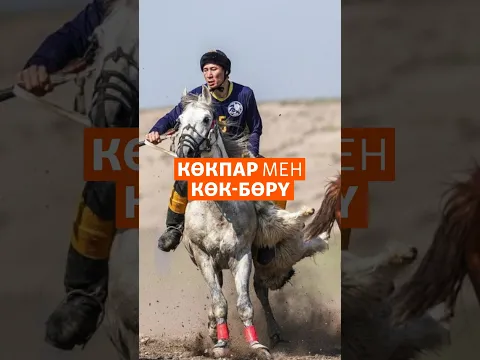 Көкпар мен көкбөрүнің айырмашылығы неде?