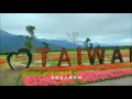 掌 聲 響 起  (鳳飛飛) (高畫質 高音質)