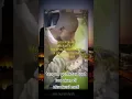 Download Lagu pria ini akan di eksekusi mati, lihat reaksi tubuh yang terjadi.