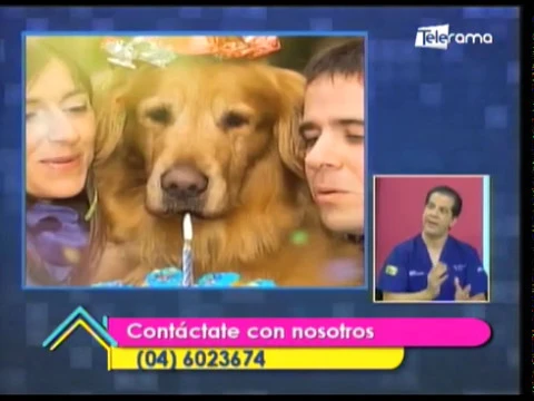 Humanizar a las mascotas ¿Una forma de maltrato?