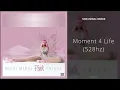 Nicki Minaj, Drake - Moment 4 Life (528hz)