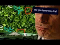 Chives The Herb That Took Over Reddit