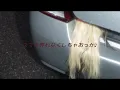 Liza - 4ね4ね4ね4ね4ね4ね4ね4ね4ね4ね4ね - Liza
