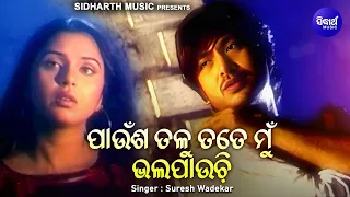 paunsha talu tate mun bhala pauchi sad album song suresh wadekar 