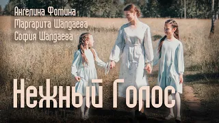 Нежный Голос 