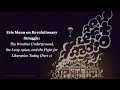 Eric Mann The Weather Underground the Long 1960s and the Fight for Liberation Today Part 1