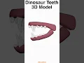 Dinosaur Teeth 3D Model