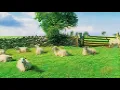 Download Lagu Portals: The KLF's Chill Out (A New Dimension)