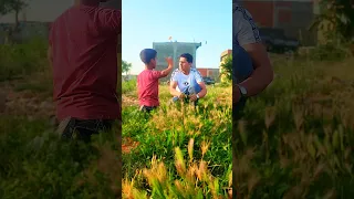 بصراحه يا ولدي عمري ما شفتهم الاثنين واقفين جنب بعض     دندنها