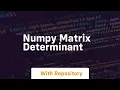 numpy matrix determinant