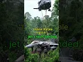 Download Lagu Indian Rafale Jet Crash-Landed in Jungle |.  india vs pakistan #iandiavspakistanfight
